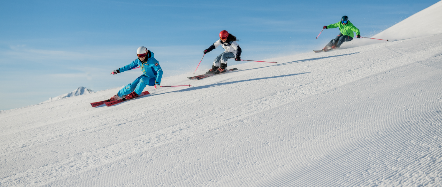 Skischule Grillitsch